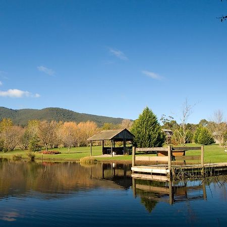 Sanctuary Park Cottages Healesville Esterno foto