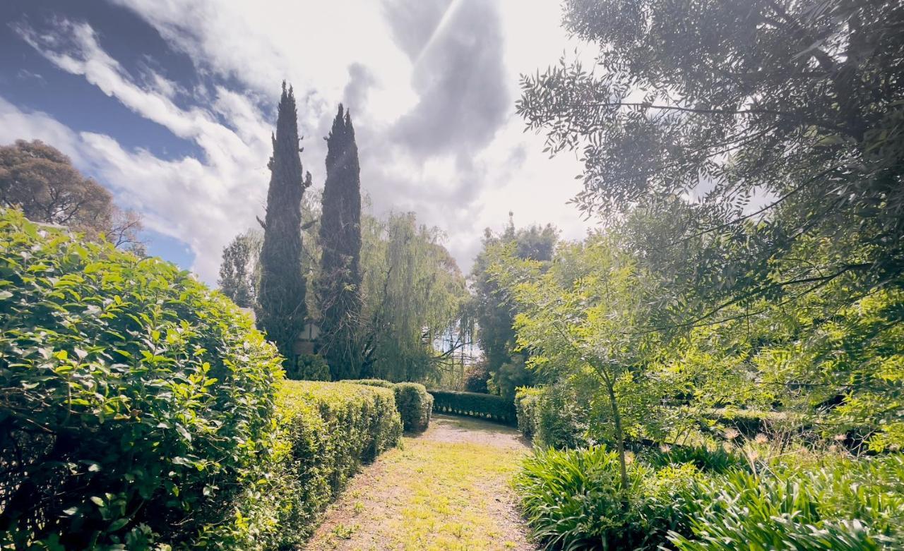 Sanctuary Park Cottages Healesville Esterno foto