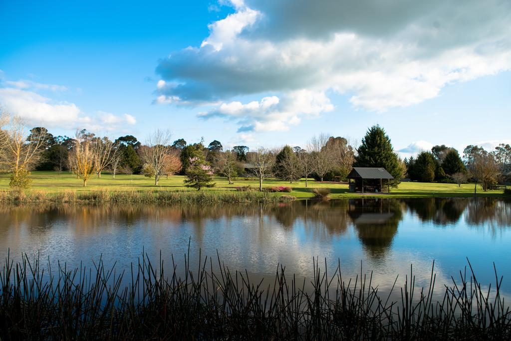 Sanctuary Park Cottages Healesville Esterno foto