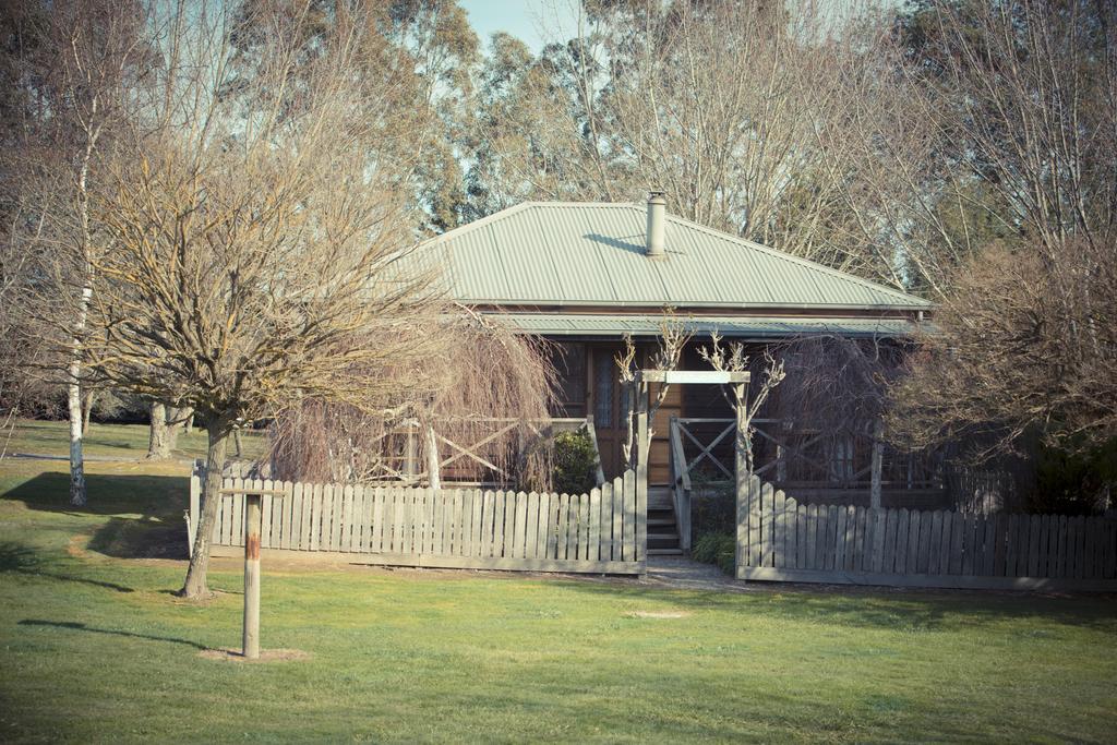 Sanctuary Park Cottages Healesville Esterno foto