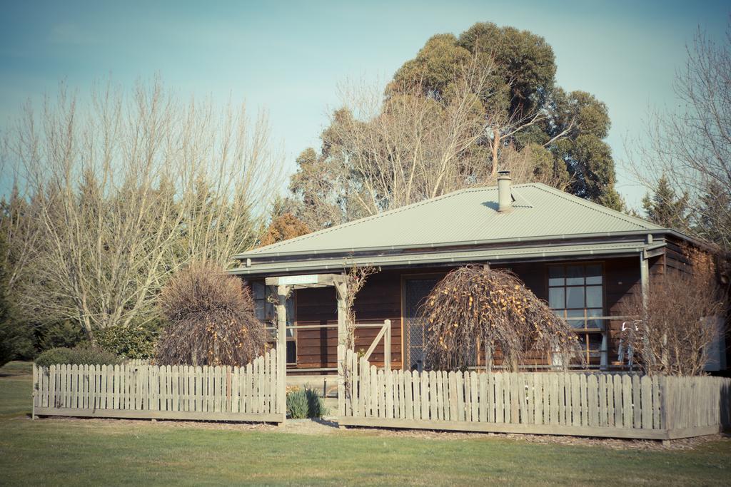 Sanctuary Park Cottages Healesville Esterno foto