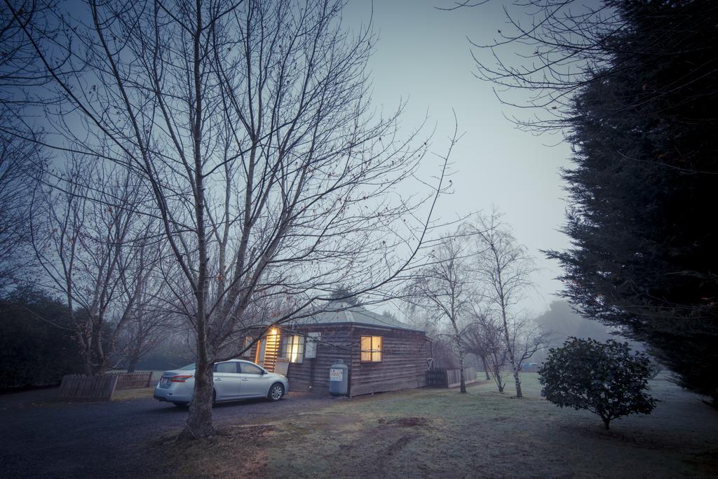 Sanctuary Park Cottages Healesville Esterno foto