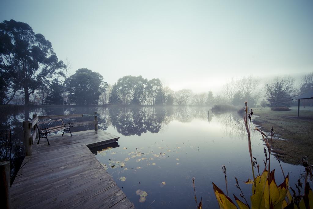 Sanctuary Park Cottages Healesville Esterno foto