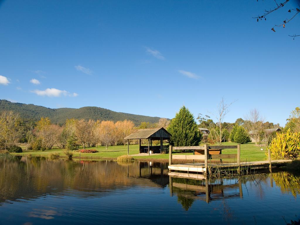 Sanctuary Park Cottages Healesville Esterno foto