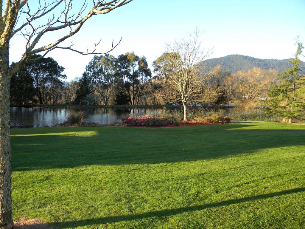 Sanctuary Park Cottages Healesville Esterno foto